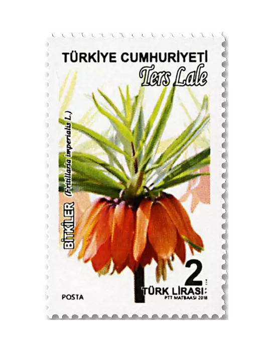 n° 3879/3885 - Timbre TURQUIE Poste