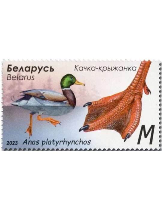 n° 1255/1258 - Timbre BIELORUSSIE Poste