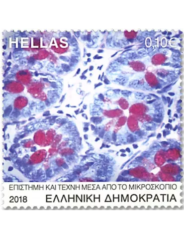 n° 2891/2895 - Timbre GRECE Poste