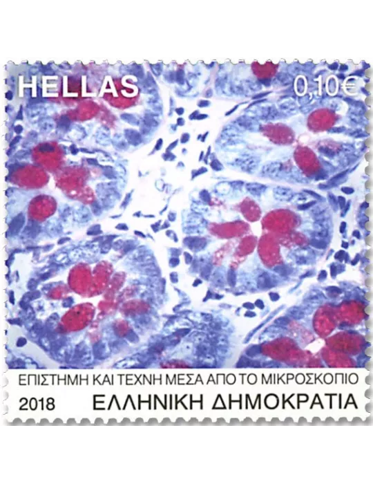 n° 2891/2895 - Timbre GRECE Poste