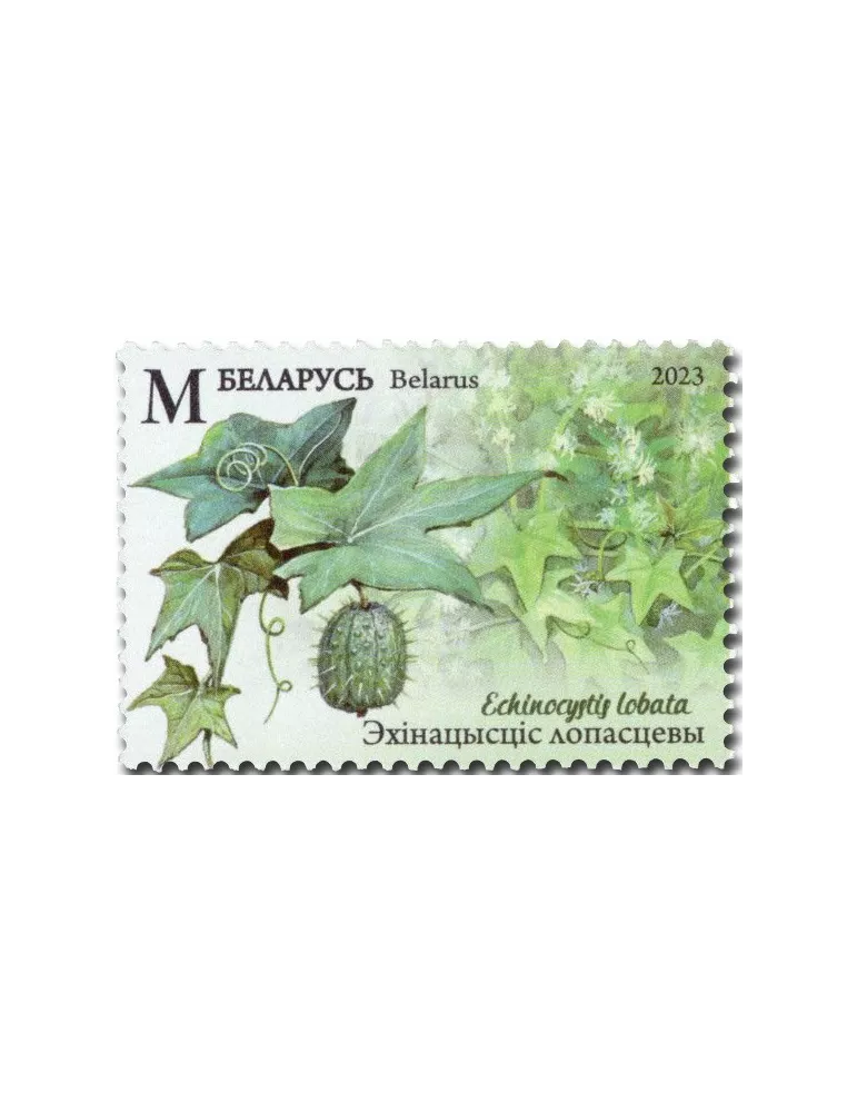 n° 1262/1265 - Timbre BIELORUSSIE Poste