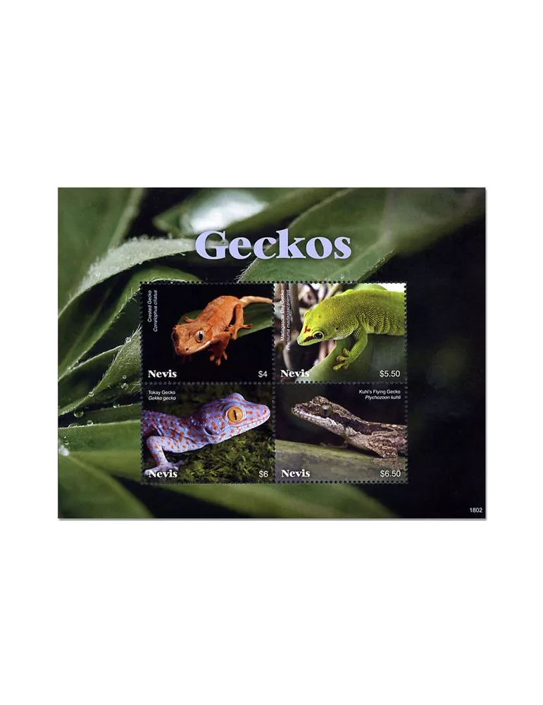 n° 2702/2705 - Timbre NEVIS Poste