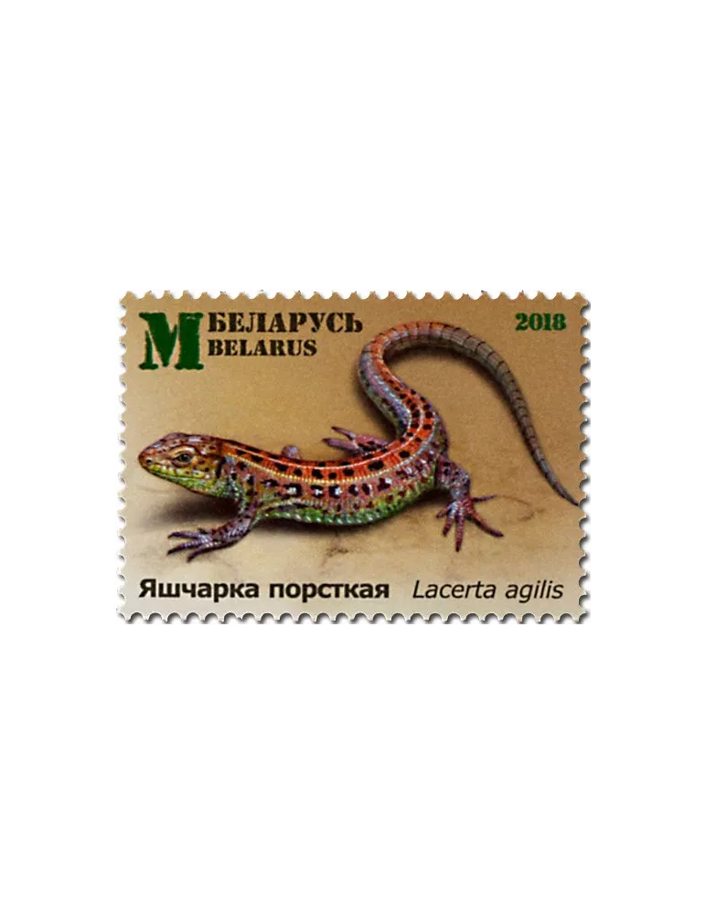 n° 1057/1059 - Timbre BIELORUSSIE Poste