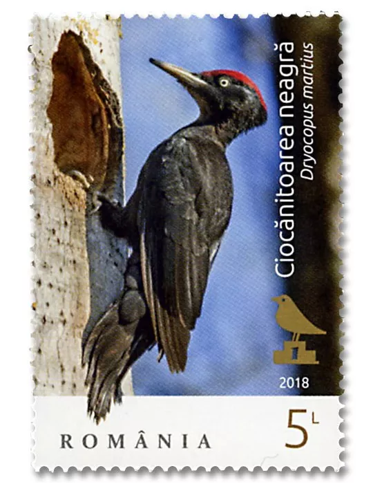 n° 6369/6372 - Timbre ROUMANIE Poste