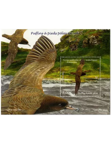 n° F897 - Timbre TAAF Poste