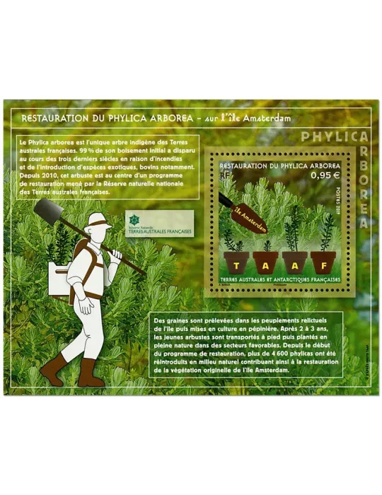 n° F903 - Timbre TAAF Poste