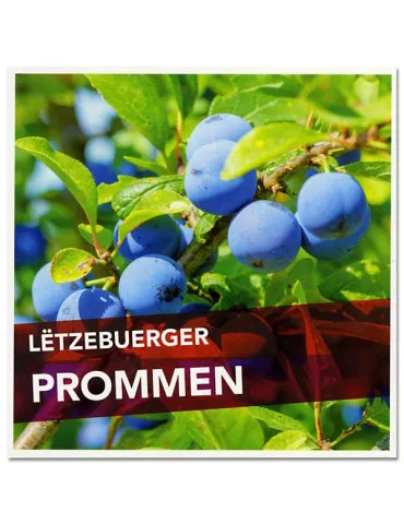 n° C2129 - Timbre LUXEMBOURG Carnets