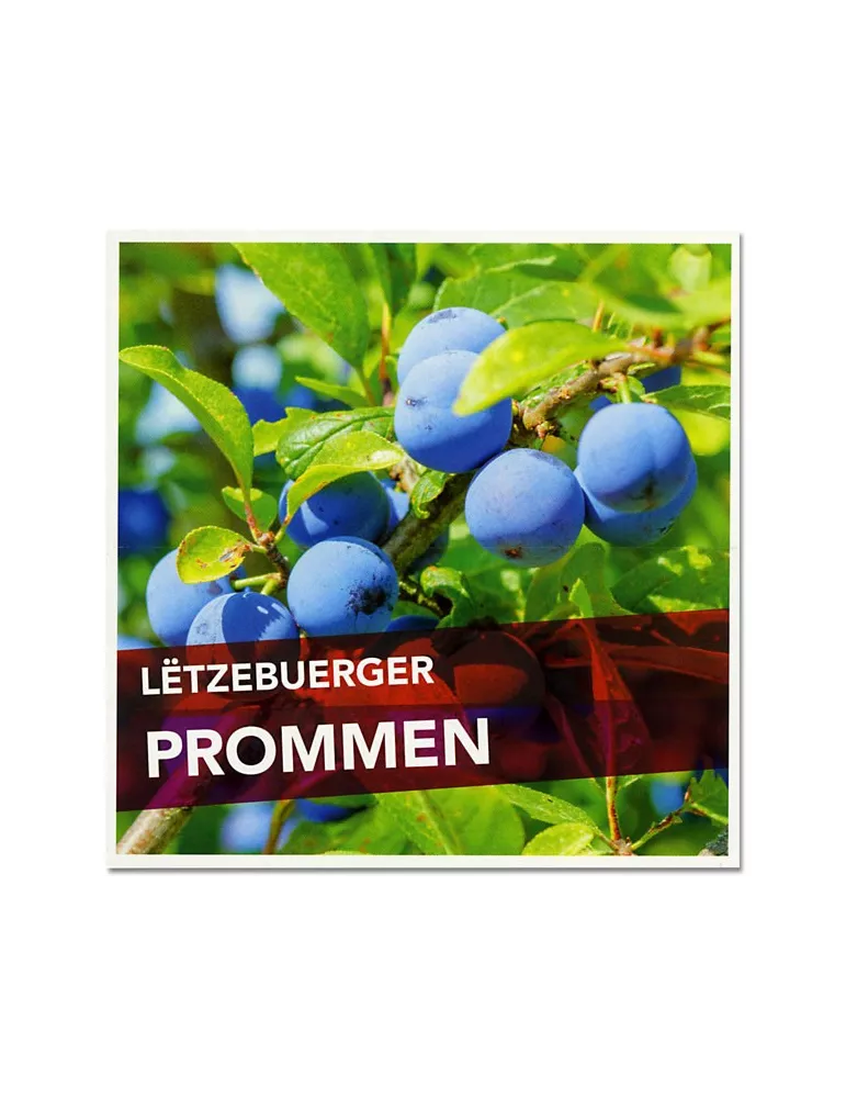 n° C2129 - Timbre LUXEMBOURG Carnets