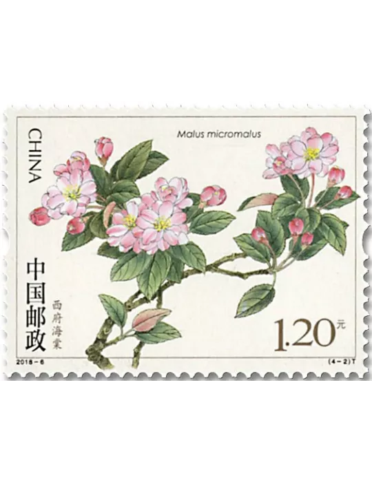 n° 5507/5510 - Timbre Chine Poste