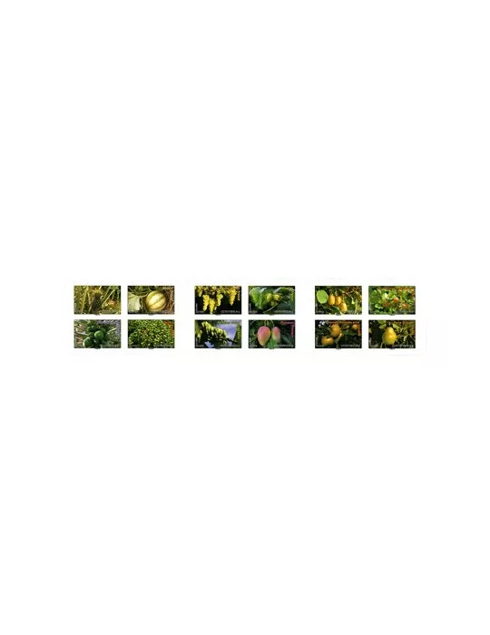 n° BC686 - Timbre France Carnets Divers