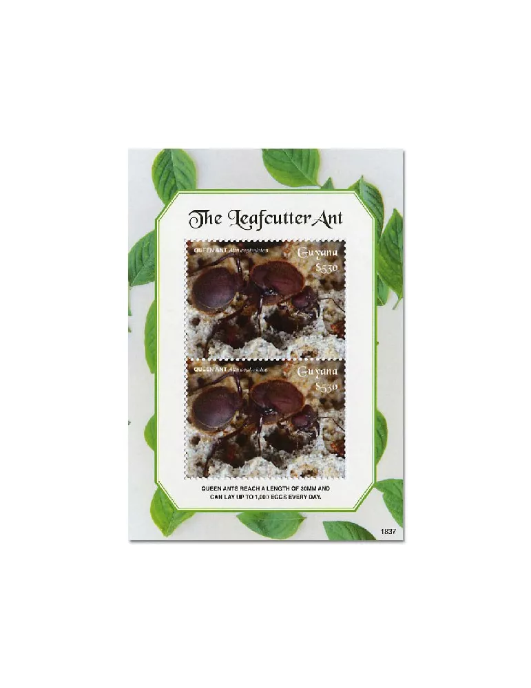 n° 675 - Timbre GUYANA Blocs et feuillets