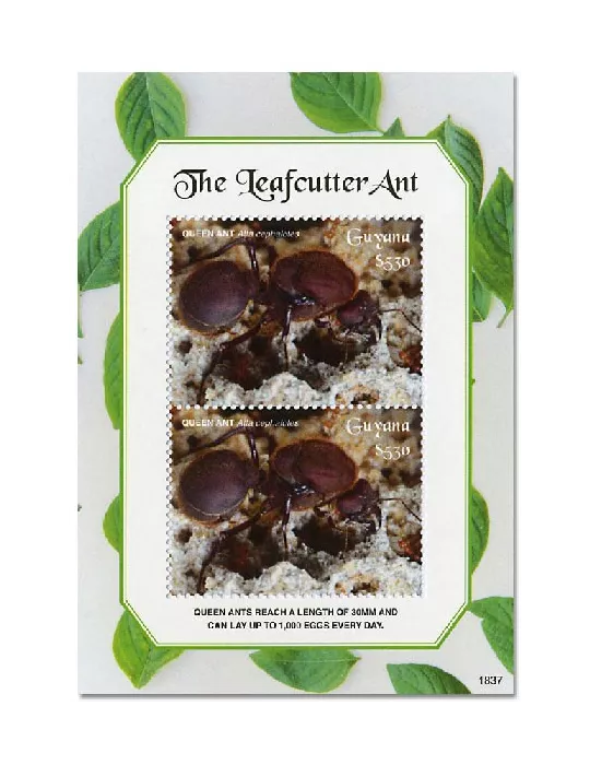 n° 675 - Timbre GUYANA Blocs et feuillets