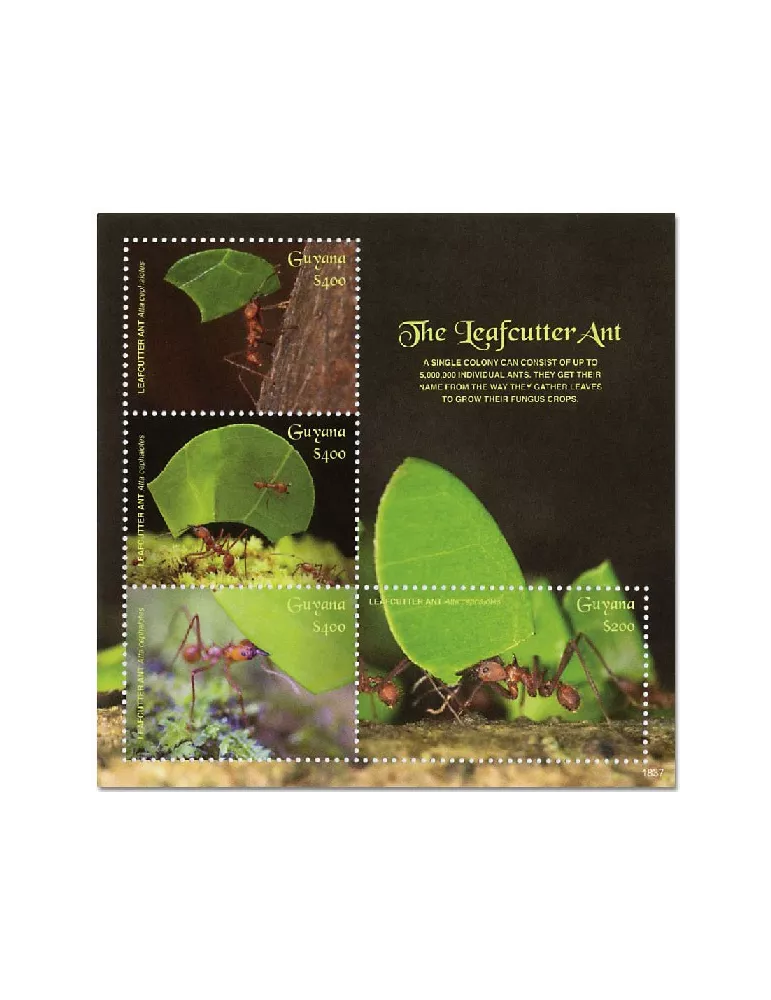 n° 7017/7020 - Timbre GUYANA Poste