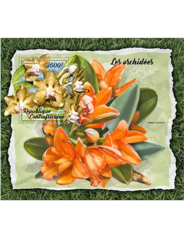 n° 1219 - Timbre CENTRAFRIQUE Blocs et feuillets