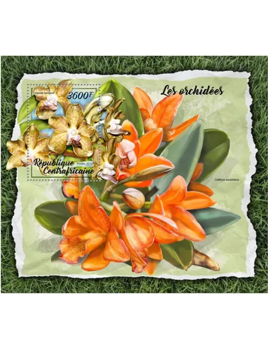 n° 1219 - Timbre CENTRAFRIQUE Blocs et feuillets