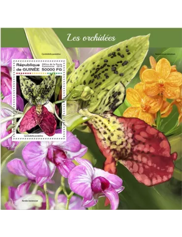 n° 2175 - Timbre GUINÉE Blocs et feuillets