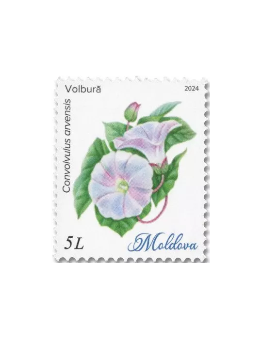 n° 1127/1132 - Timbre MOLDAVIE Poste