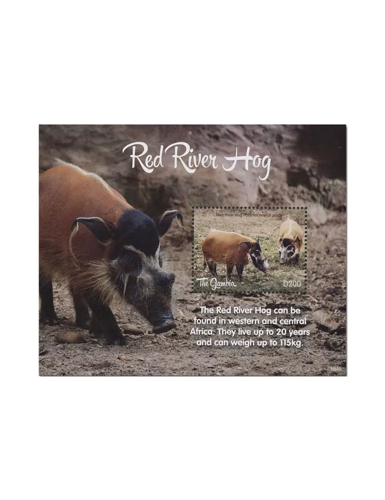 n° 918 - Timbre GAMBIE Blocs et feuillets