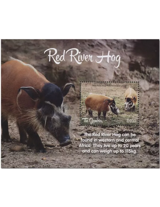 n° 918 - Timbre GAMBIE Blocs et feuillets