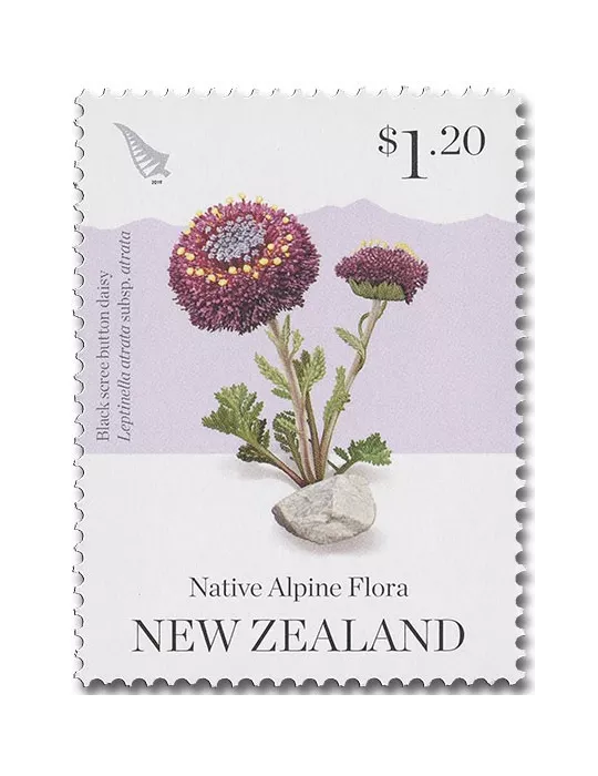 n° 3463/3468 - Timbre NOUVELLE-ZELANDE Poste