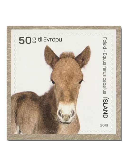 n° 1508/1509 - Timbre ISLANDE Poste