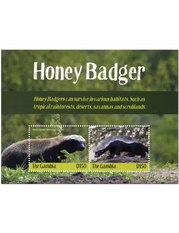 n° 923 - Timbre GAMBIE Blocs et feuillets