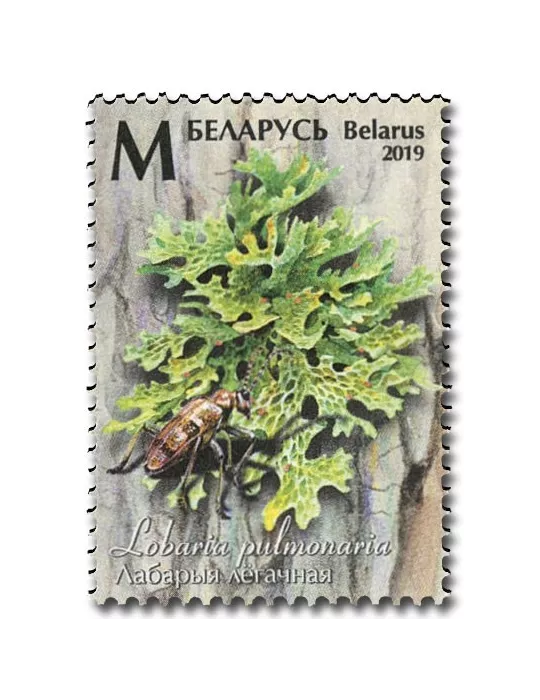 n° 1089/1091 - Timbre BIELORUSSIE Poste