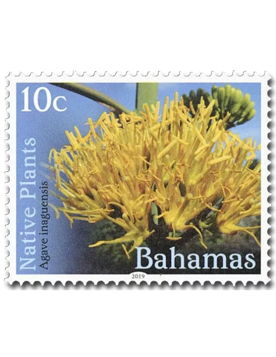 n° 1573/1588 - Timbre BAHAMAS Poste