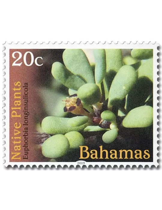 n° 1573/1588 - Timbre BAHAMAS Poste