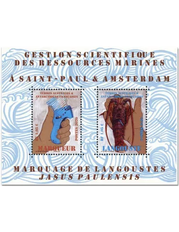 n° F927 - Timbre TAAF Poste