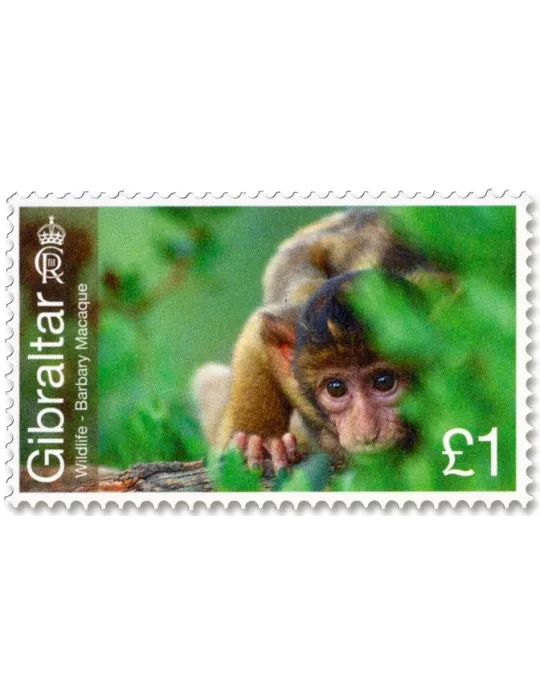 n° 2087/2092 - Timbre GIBRALTAR Poste