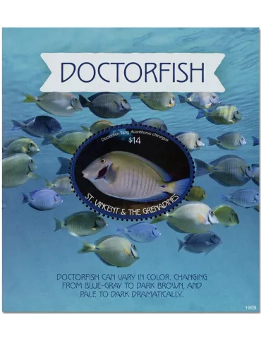 n° 811 - Timbre SAINT-VINCENT Blocs et feuillets