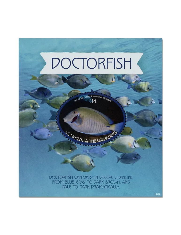 n° 811 - Timbre SAINT-VINCENT Blocs et feuillets