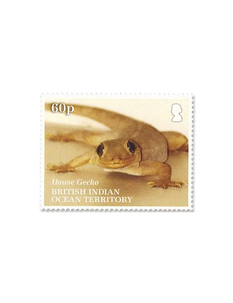 n°554/556 - Timbre OCEAN INDIEN Poste