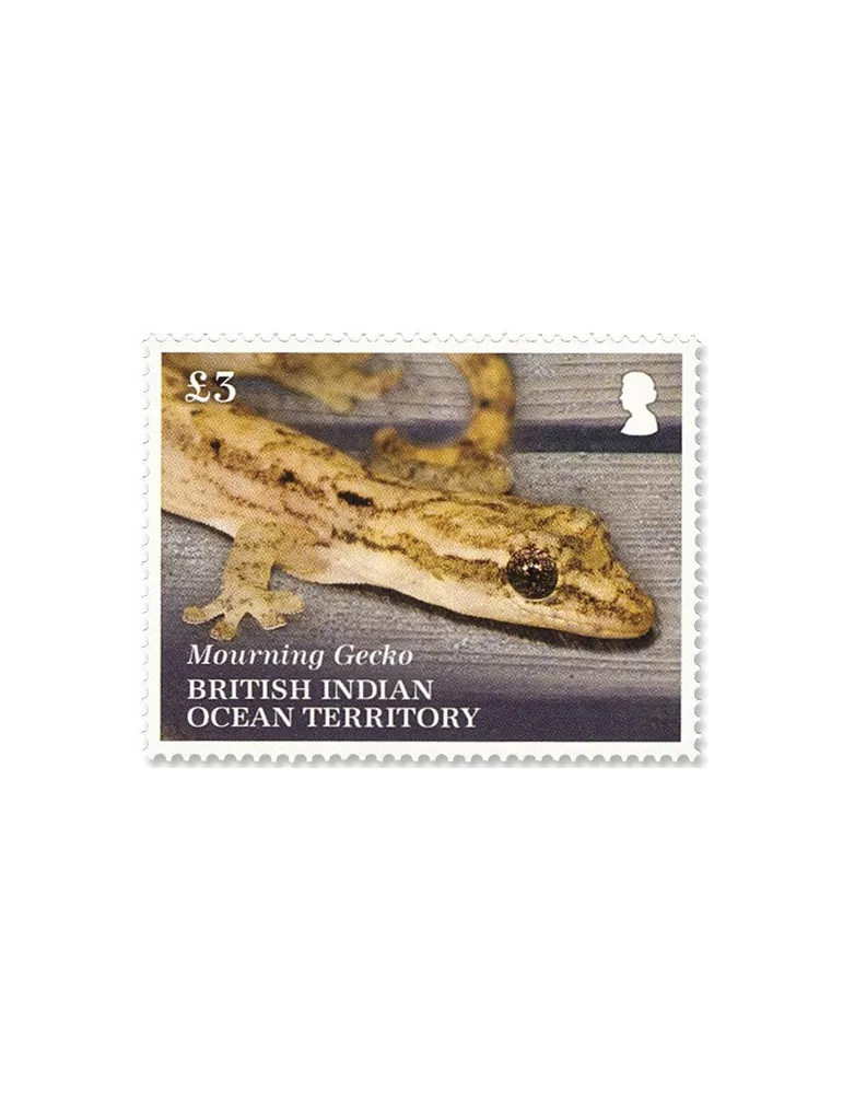 n°554/556 - Timbre OCEAN INDIEN Poste