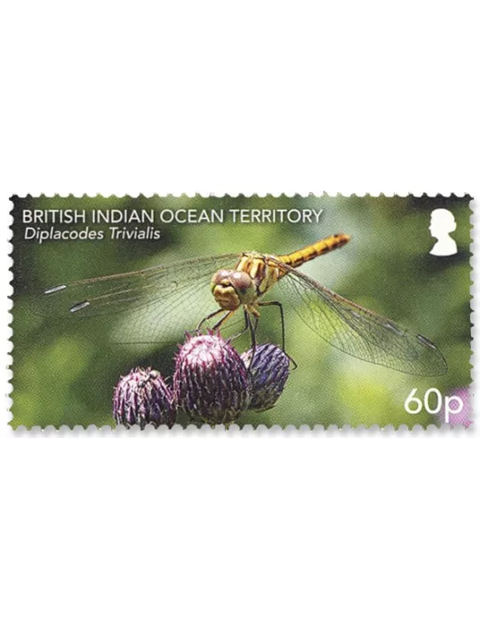 n°557/562 - Timbre OCEAN INDIEN Poste