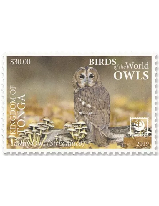 n°1568/1571 - Timbre TONGA Poste