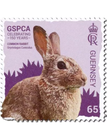 n° 2008/2013 - Timbre GUERNESEY Poste