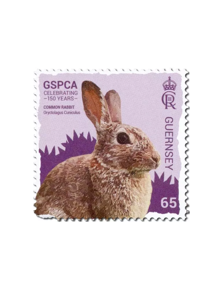 n° 2008/2013 - Timbre GUERNESEY Poste