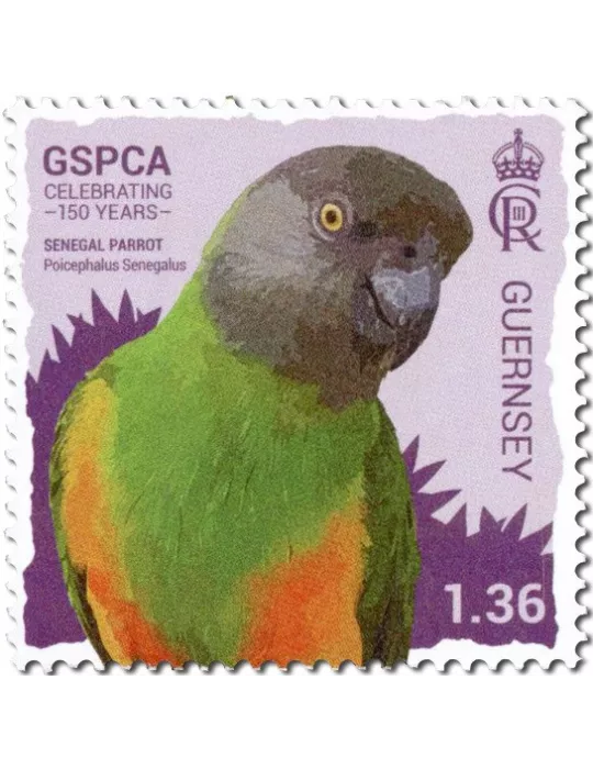 n° 2008/2013 - Timbre GUERNESEY Poste