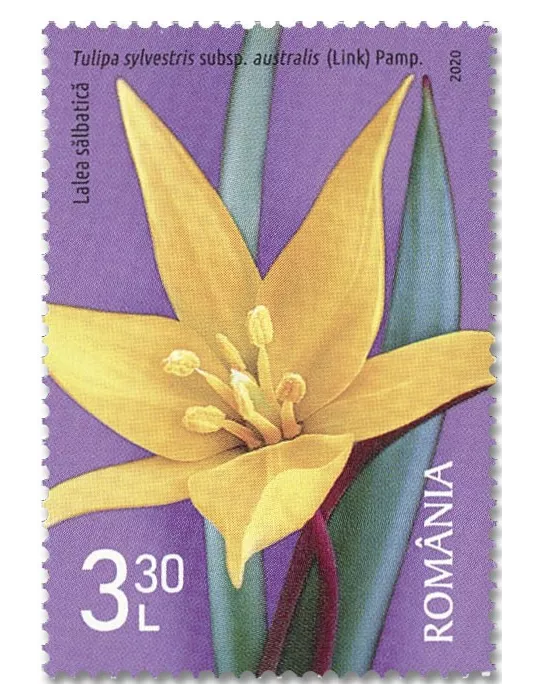 n° 6549/6552 - Timbre ROUMANIE Poste