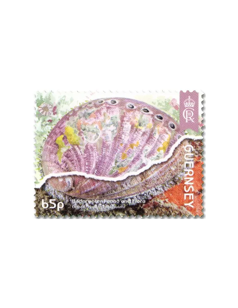 n° 2022/2025 et n° 2020/2021 - Timbre GUERNESEY Poste