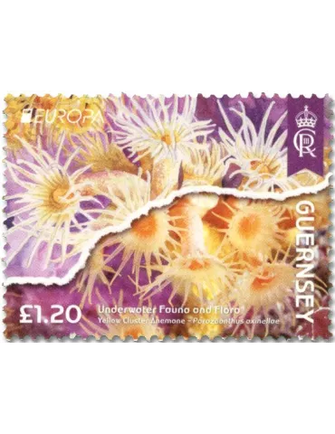 n° 2022/2025 et n° 2020/2021 - Timbre GUERNESEY Poste 2