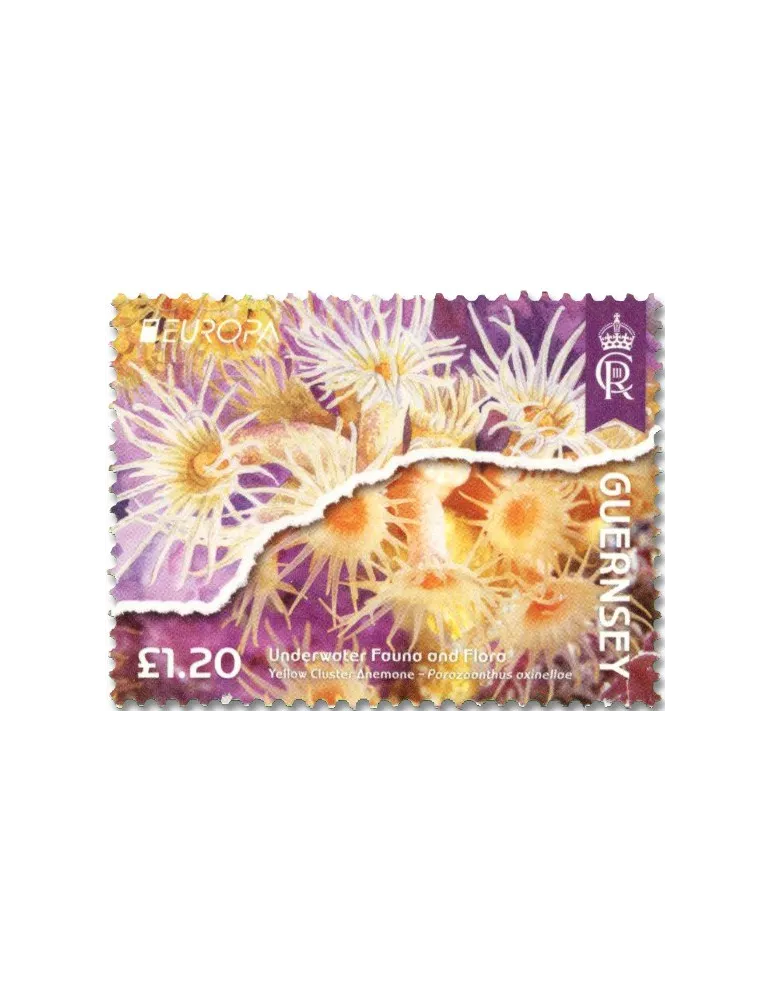 n° 2022/2025 et n° 2020/2021 - Timbre GUERNESEY Poste