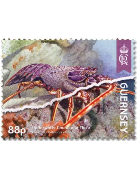 n° 2022/2025 et n° 2020/2021 - Timbre GUERNESEY Poste