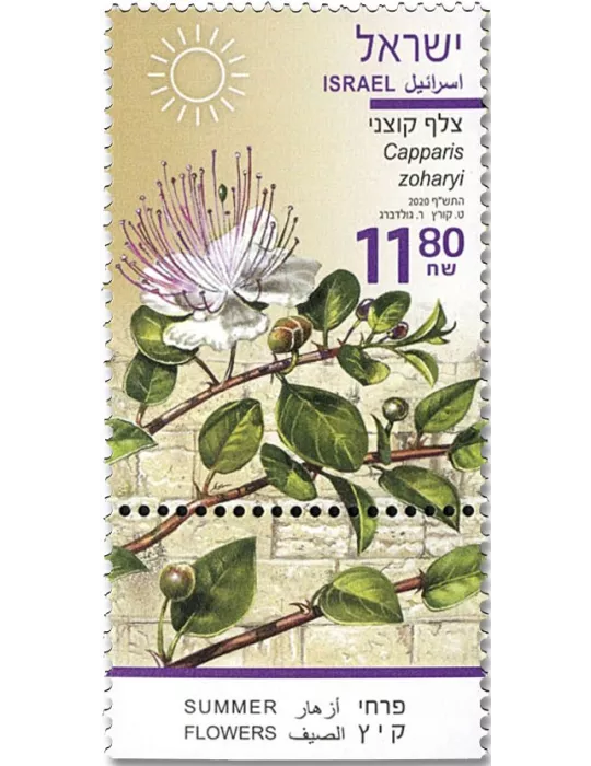 n° 2637/2639 - Timbre ISRAEL Poste