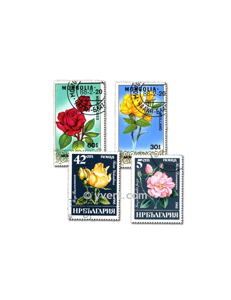 Kit Junior (avec Classeur Perfecta Grenat - Voyage au pays des Jardins S.Bern)