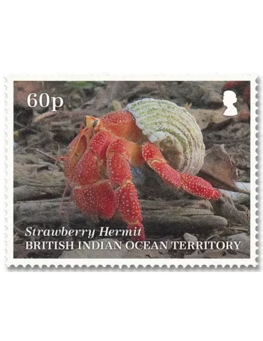 n° 563/567 - Timbre OCEAN INDIEN Poste 2