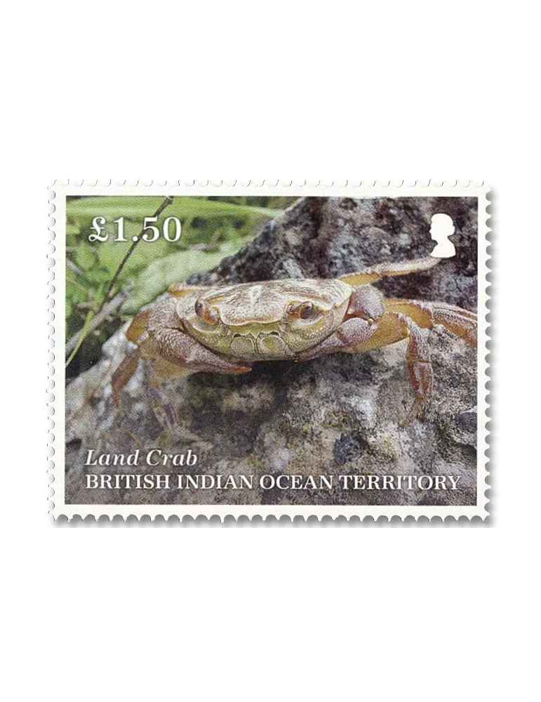 n° 563/567 - Timbre OCEAN INDIEN Poste