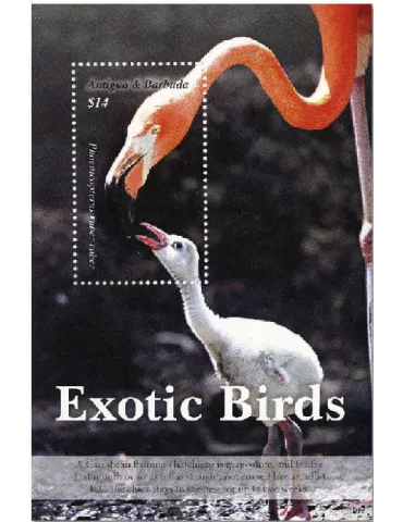 n° 793 - Timbre ANTIGUA Blocs et feuillets